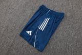 2025/26 AD Blue Training Jersey(A Set)