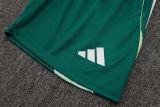 2025/26 AD Light Green Training Jersey(A Set)