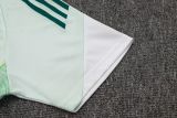 2025/26 AD Light Green Training Jersey(A Set)