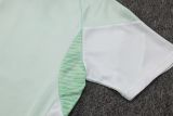 2025/26 AD Light Green Training Jersey(A Set)