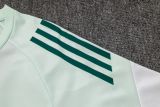 2025/26 AD Light Green Training Jersey(A Set)
