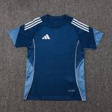 2025/26 AD Blue Training Jersey(A Set)