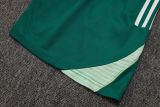 2025/26 AD Light Green Training Jersey(A Set)