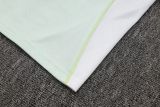 2025/26 AD Light Green Training Jersey(A Set)