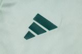 2025/26 AD Light Green Training Jersey(A Set)