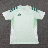 2025/26 AD Light Green Training Jersey(A Set)