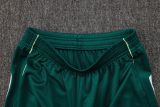 2025/26 AD Light Green Training Jersey(A Set)
