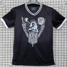 2025/26 Carl Zeiss Jena Special Edition Fans Soccer Jersey