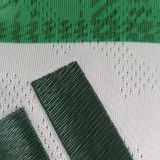 2025/26 Celtic Home Player Version Soccer Jersey