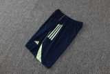 2025/26 RM Light Green Training Jersey(A Set)
