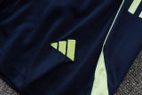 2025/26 RM Light Green Training Jersey(A Set)