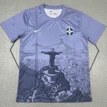 2025/26 Brazil Special Edition Fans Soccer Jersey