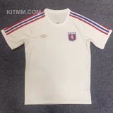 2025/26 Lyon 75Th Anniversary Fans Soccer Jersey 彩色三边