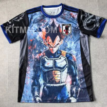 2025/26 Japan Special Edition Fans Jersey