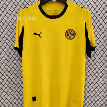 2025/26 BVB Special Edition Yellow Fans Soccer Jersey