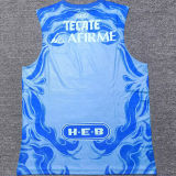 2025/26 U.A.N.L Tiger Away Vest Jersey