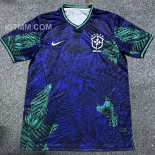 2025/26 Brazil Special Edition Fans Soccer Jersey