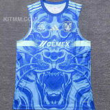 2025/26 U.A.N.L Tiger Away Vest Jersey