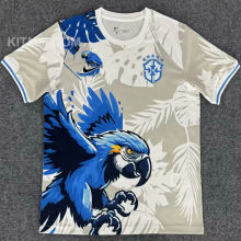2025/26 Brazil Special Edition Fans Soccer Jersey
