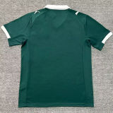 2025/26 Plymouth Argyle Home Green Fans Soccer Jersey