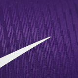 2025/26 AL AIN FC Home Player Version Soccer Jersey 艾因