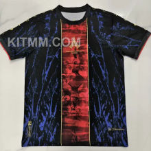 2025/26 PSG Special Edition Fans Soccer Jersey