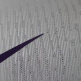 2025/26 AL AIN FC Away Player Version Soccer Jersey 艾因