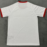 2025/26 Flamengo Retro Classic Version Fans Soccer Jersey