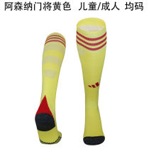 2025/26 ARS GK Yellow Sock