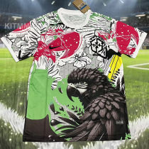 2025/26 Brazil Special Edition Fans Soccer Jersey