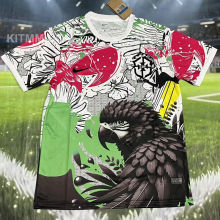 2025/26 Brazil Special Edition Fans Soccer Jersey