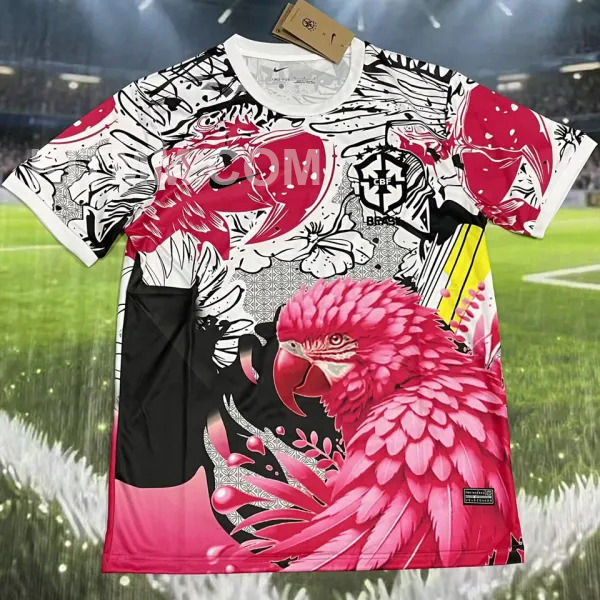 2025/26 Brazil Special Edition Fans Soccer Jersey