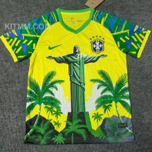 2025/26 Brazil Special Edition Fans Soccer Jersey
