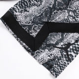 C2448 Jordan Casual Short Pants 蛇纹迷彩