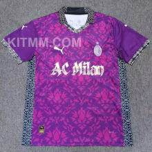 2025/26 AC Milan Special Edition Fans Soccer Jersey
