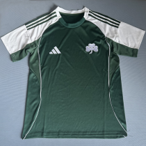 2025/26 Panathinaikos Home Green Fans Jersey  希超 帕纳辛奈科斯