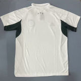 2025/26 Panathinaikos Away Fans Jersey  希超 帕纳辛奈科斯