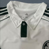 2025/26 Panathinaikos Away Fans Jersey  希超 帕纳辛奈科斯