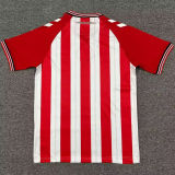 2025/26 Sunderland Home Fans Soccer Jersey