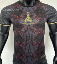 2025/26 PSG Special Edition Player Version Soccer Jersey
