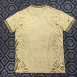 2025/26 Brazil Special Edition Fans Soccer Jersey