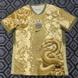 2025/26 In Milan Special Edition Fans Soccer Jersey