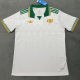 2025/26 Roma Away Fans Soccer Jersey
