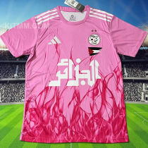 2025/26  Algeria Special Edition Fans Soccer Jersey