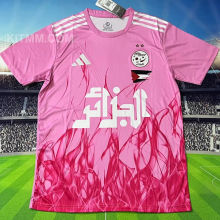2025/26  Algeria Special Edition Fans Soccer Jersey