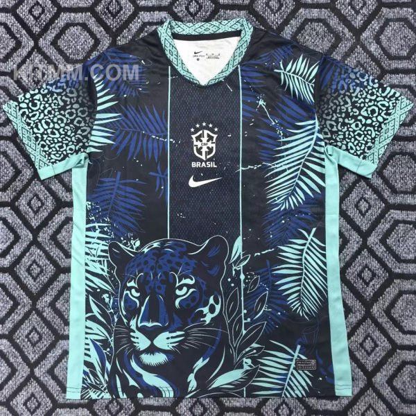 2025/26 Brazil Special Edition Fans Soccer Jersey