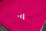 2025/26 Flamengo Rose Red Training Jersey(A Set)
