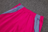 2025/26 Flamengo Rose Red Training Jersey(A Set)
