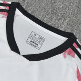 2025/26 Japan Special Edition Fans Jersey