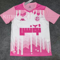 2025/26 Tunisia Special Edition Fans Soccer Jersey  突尼斯